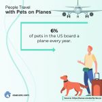 Pet-friendly airlines
