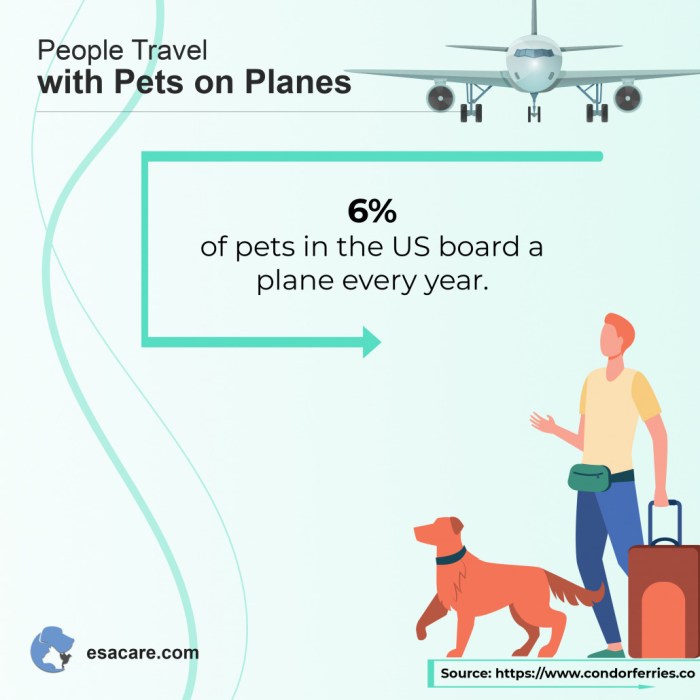 Pet-friendly airlines