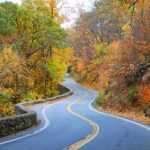 Accessible road trip ideas