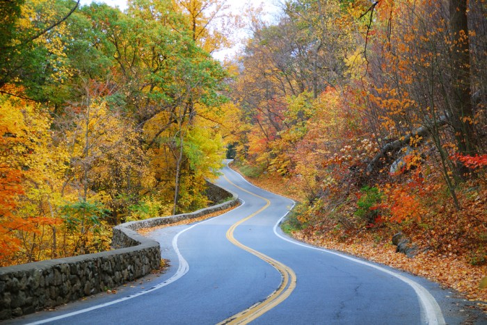 Accessible road trip ideas