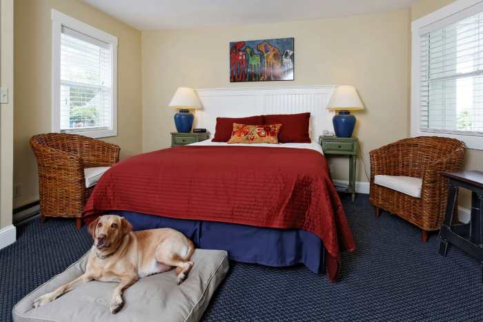 Pet-friendly hotels near me
